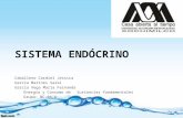 Sistema endócrino y sus estructuras (1)