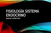 fisiología (esquemas)  - sistema endocrino