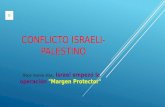 Conflicto palestino