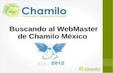 Buscando webmaster-chamilo