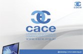 Presentación: Seminario Medios de pagos móviles - Octubre 2014- CACE