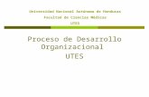 Desarrollo Organizacional De La   Utes ComisióN