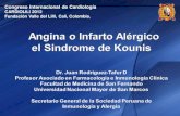 Angina o infarto alergico: el Sindrome de Kounis