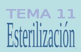 Tema 11 esterilización