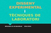 S1 - Disseny experimental
