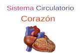Corazn 090729143601-phpapp01