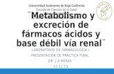 Metabolismo y excreción de fármacos ácidos y base débil vía renal