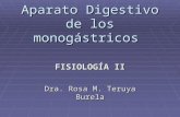 Aparato Digestivo De MonogáStricos