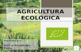 Agricultura ecol³gica. Alvaro Fernndez Reina