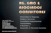 Rg, gmc & asociados consultores 06