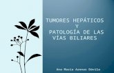 Tumores hepaticos