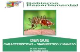 Dengue en bolivia capacitacion