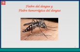 Dengue Hemorragico Junio 2005