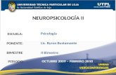 Neuropsicologia  II  2º Bimestre