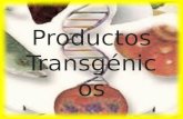 Equipo 4  productos transgenicos