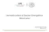 5 cfe-Comisión Federal de Electricidad (jornada México)