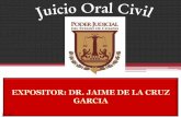 Diapositivas juicio oral en materia civil