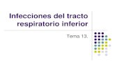 Tema 13. infecciones del tracto respiratorio inferior