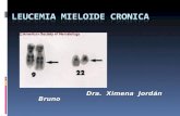 Leucemia mieloide cronica.Charla Congreso Boliviano de Hematologia 2008