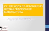 Calificacion de auditores en bpm colombia