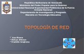 Topología de red ana