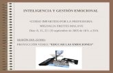 Inteligencia Y Gestion Emocional SesióN 3diapositivas