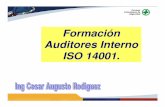 Formación de Auditores Internos ISO 14001: CCS