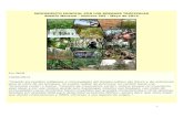 Boletín n° 202 del Movimiento Mundial por los Bosques Tropicales-WRM