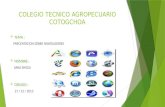 Colegio tecnico agropecuario cotogchoa navegadores