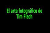 El Arte De Tim Flach Fotografia