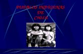 Pueblos Indigenas Chile
