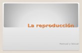 6.  tipos de reproducción 1
