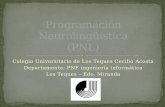 Programacion neurolinguistica (PNL)