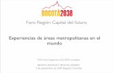 Bogotá 2038 - Panel experiencias en el mundo - Presentación Yves Cabannes (Francia)
