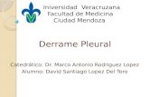 Derrame Pleural y Neumotorax