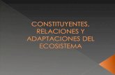 Constituyentes, Relaciones Y Adaptaciones Del Ecosistema