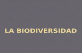 La biodiversidad final
