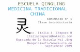 SEMINARIO I MEDICINA TRADICIONAL CHINA.  MTC