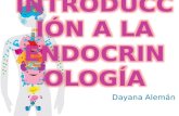 Introducción a la endocrinología