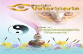 62345661 imagen-veterinaria acupuntura veterinária