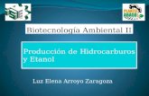 Produccion de hidrocarburos y etanol