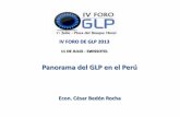 Panorama del GLP en el Perú 2013