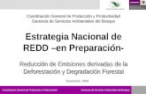 Estrategia nacional de REDD  - en preparación