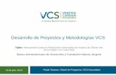 Desarrollo de proyectos y metodologías VCS-  Paula Tassara-  VCS