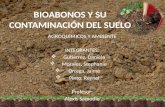 Bioabonos y su contaminación del suelo