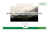 REDD+: una experiencia en Bolivia