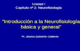 3.  Neurofisiologia