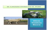 Ganado ovino en el Perú