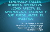 Seminario Taller - Memoria Operativa y Aprendizaje Escolar