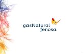 APEDE Conferencia Gas Natural Fenosa